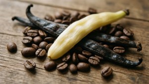 Vanilla and Coffee