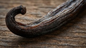 Vanilla Bean Close-Up