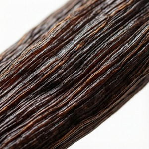 Vanilla Bean Texture Closeup