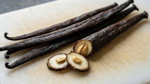 Vanilla Prep