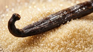 Vanilla Sugar Dream