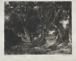 Various Subjects of Landscape, Characteristic of English Scenery from Pictures Painted by John Constable, R.A.:  Dell in the Woods of Helmingham Park, Suffolk
