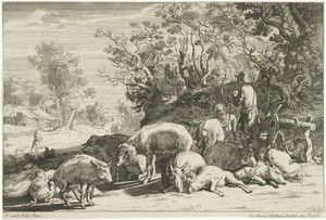 Varkenshoeder met kudde varkens