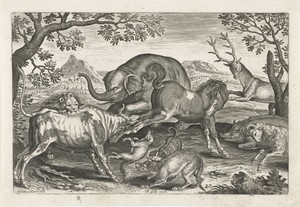 Vechtende dieren