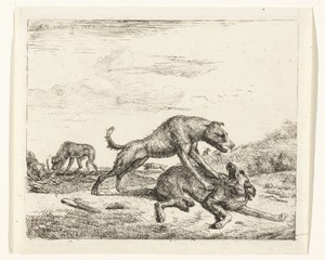 Vechtende honden