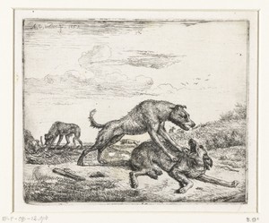 Vechtende honden