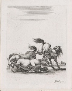 Vechtende paarden