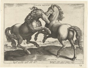 Vechtende paarden