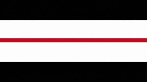 Vector Simple Flag