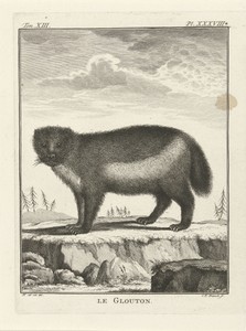 Veelvraat