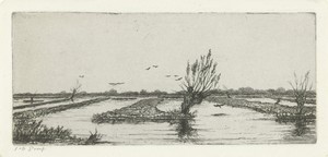 Veenplas