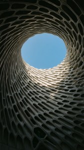 Veil Detail