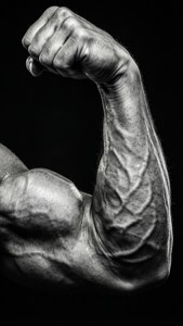 Vein Pump