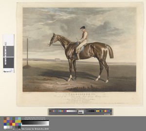 Velocipede. Winner of the St. Leger at the York Spring Meeting. 1828