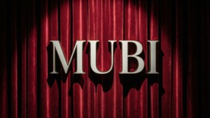 Velvet Curtain Spotlight