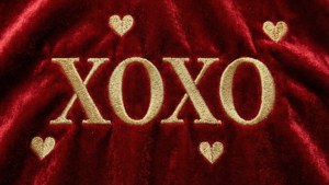 Velvet Embroidery XOXO