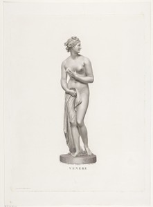 Venus