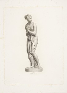 Venus