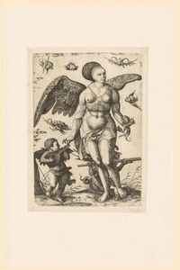 Venus en Cupido