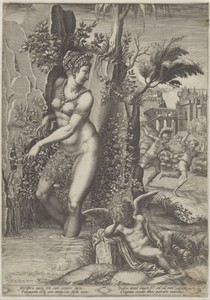 Venus en de roos