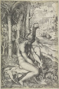 Venus en de roos