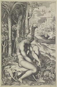 Venus en de roos