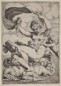 Venus or Galatea Supported by Dolphins