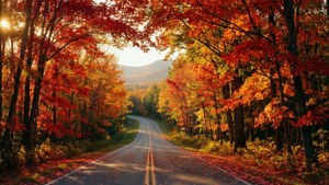Vermont Autumn Road