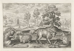 Verschillende dieren