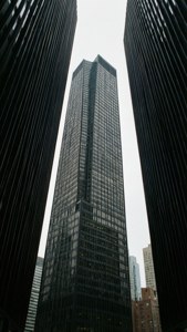 Vertical City View