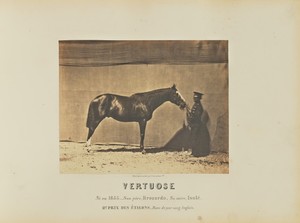 Vertuose