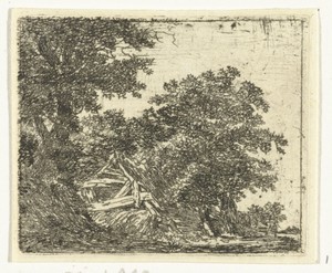 Vervallen hut in bos