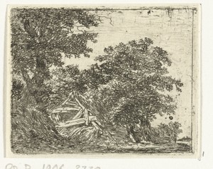 Vervallen hut in het bos