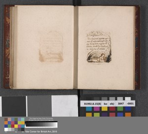 VI. "The desires & perceptions of man untaught..." (Plate 8)