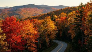 Vibrant Autumn Foliage Drive