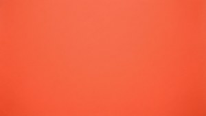 Vibrant Coral Pop