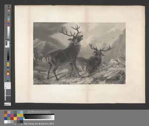Victor of the Glen