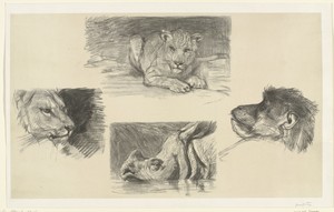 Vier dieren