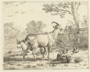 Vier geiten
