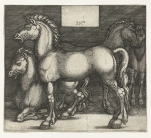 Vier paarden
