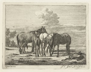Vier paarden en de twee veulen