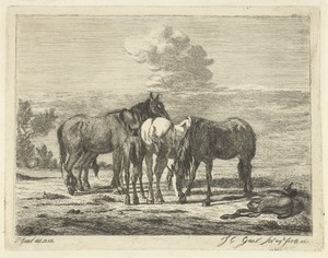 Vier paarden en twee veulens