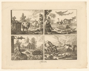 Vier wetenschappelijke voorstellingen van dieren