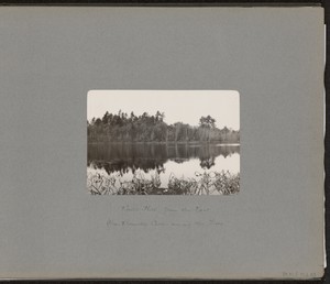 [View of Ball's Hill - East]