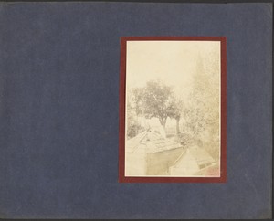 [View of Garden]