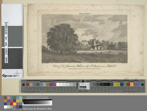 View of Johnson's Willow