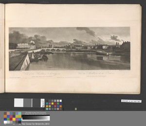 View of the Tuilleries and Bridge and etc. taken from Pont de la Concorde