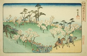 Viewing Cherry Blossoms at Asuka Hill (Asukayama hanami), from the series "Famous Places in Edo (Koto meisho)"