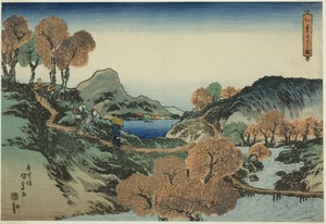 Viewing Maple Trees