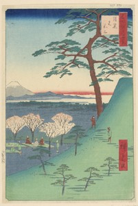 Viewing of Cherry Blossoms